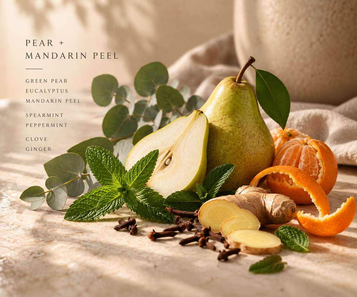Pear + Mandarin Peel fragrance notes with green pear, mandarin, mint, eucalyptus, ginger and clove