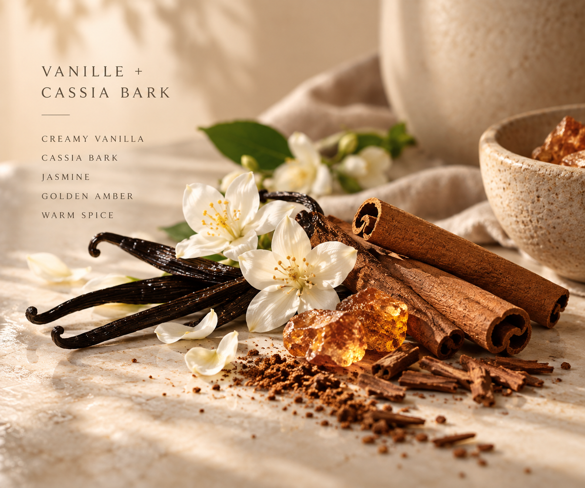 Vanille + Cassia Bark candle fragrance notes with creamy vanilla, cassia bark, jasmine, golden amber and warm spice