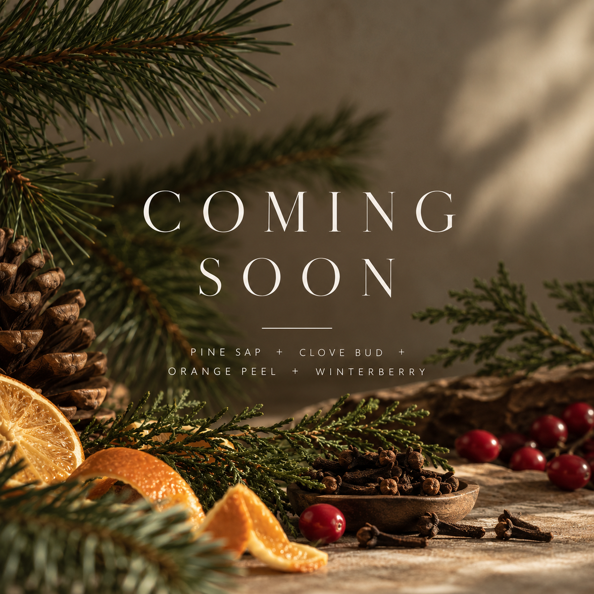 Pine Sap + Clove Bud candle coming soon – pine, clove, orange peel and winterberry fragrance notes